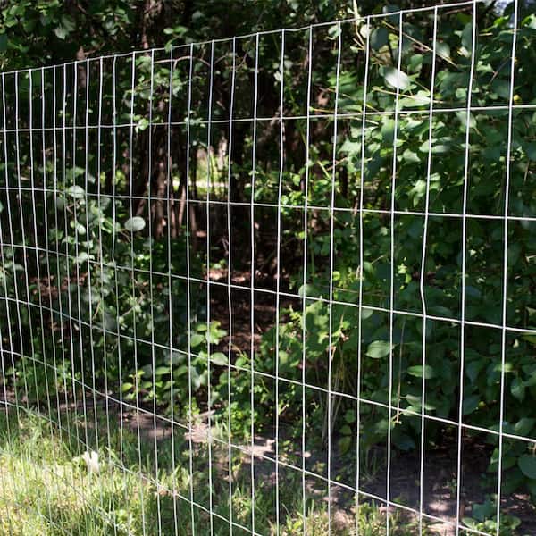 Everbilt 4 ft. x 50 ft. Galvanized Steel Black PVC Coated Welded Wire  308382EB - The Home Depot