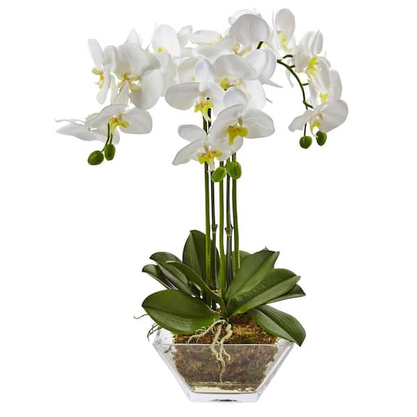 Nearly Natural 22 in. Artificial Triple Phalaenopsis Orchid in Glass Vase