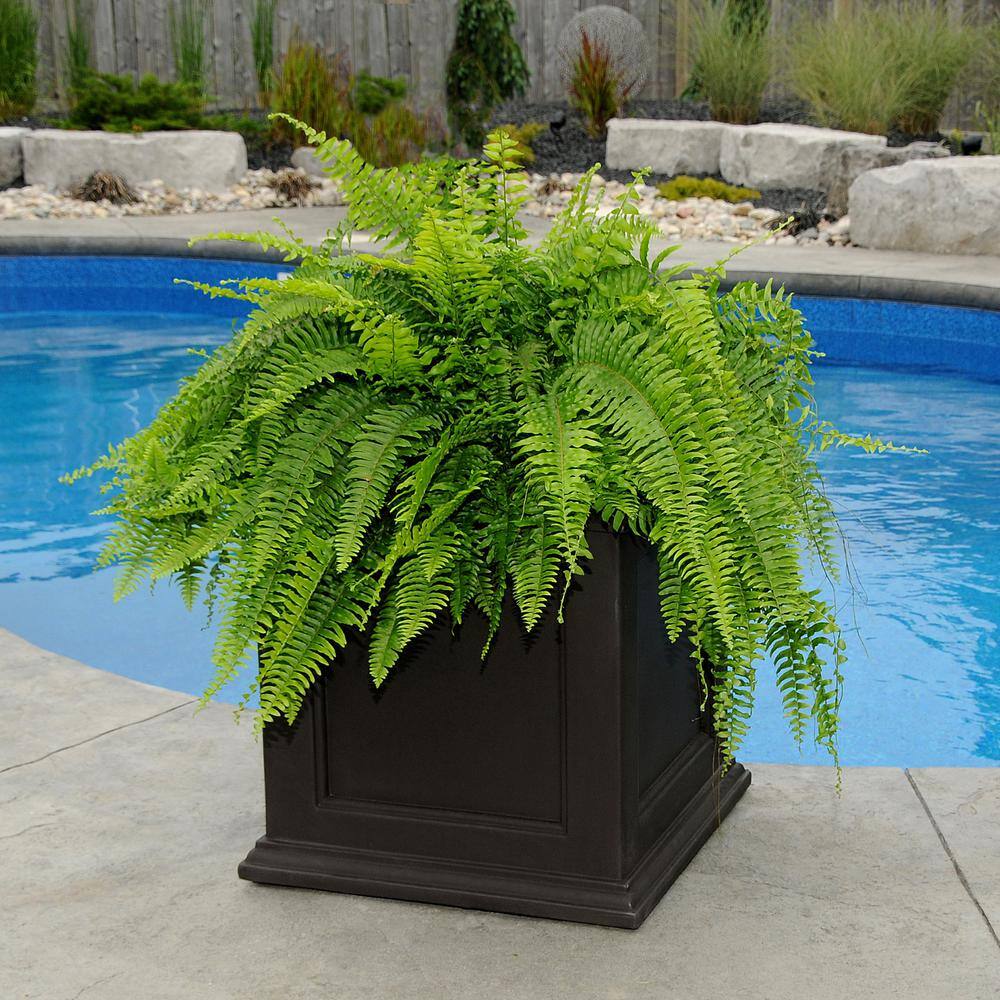 Fairfield Espresso Square Self-Watering Planter 20x20 in.