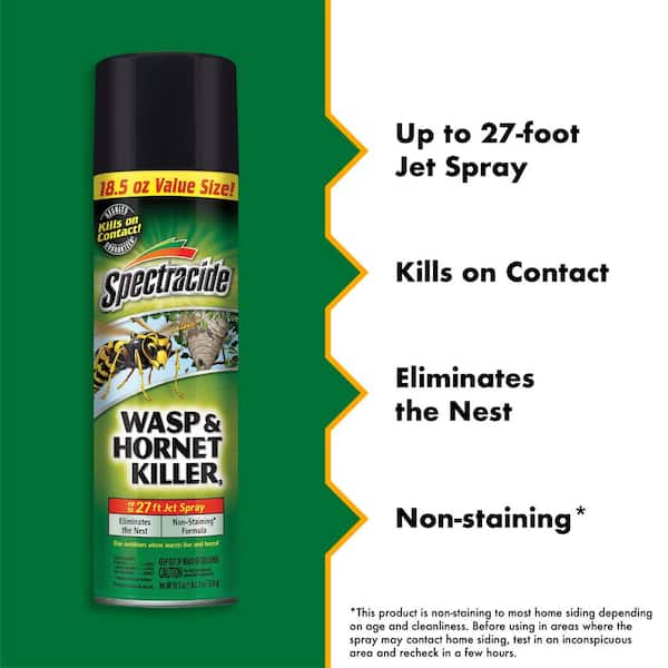 Spectracide - 18.5 oz. Wasp and Hornet Killer Aerosol Spray (Insect Killer) (2-Count)
