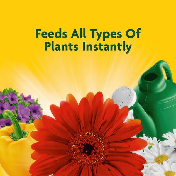 Miracle-Gro Liquid All Purpose Plant Food 32 oz. Concentrate, Feeds Plants  Instantly, For All Plant Types, Liquid Fertilizer 3001502 - The Home Depot