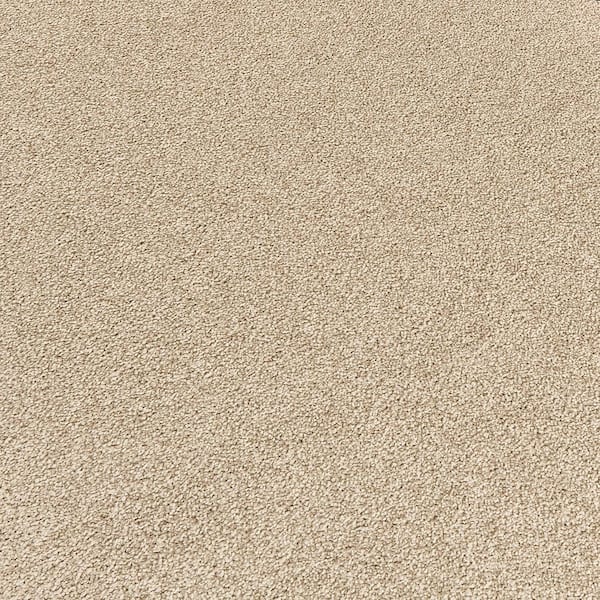 Home Decorators Collection Tailored Trends II Polished Brown 47 oz