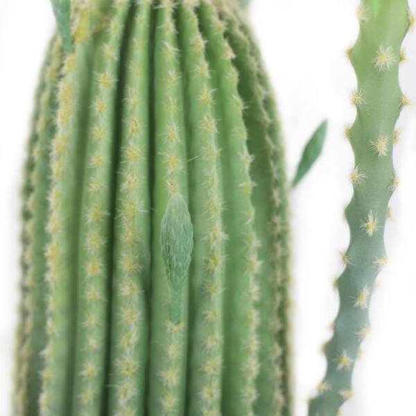 cactus mug Cactus Coffee Mug main image 0