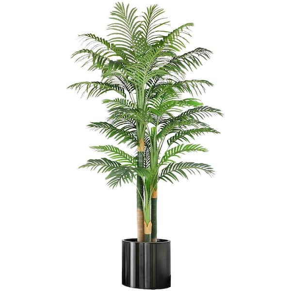 sag plant Broadleaf Sagittaria  H2O Plants