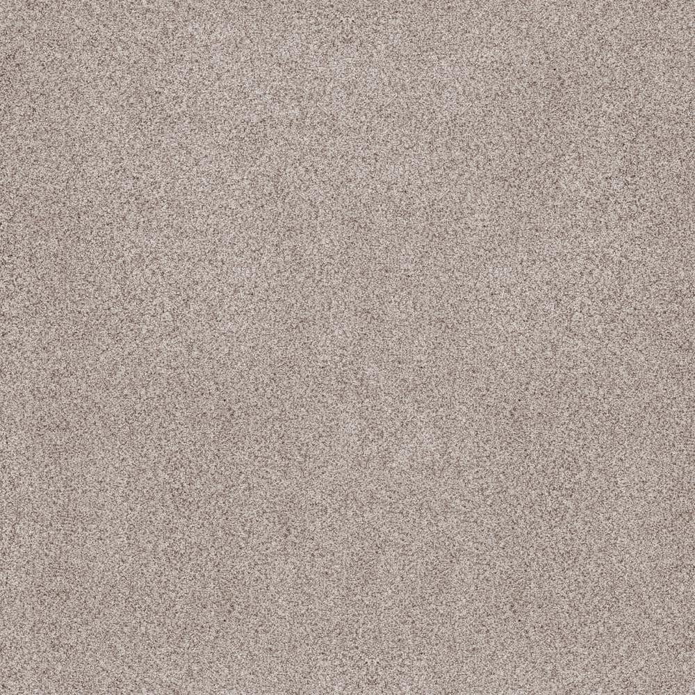 8 in. x 8 in. Texture Carpet Sample - Sand Dunes I - Color Fallow price history on PriceWatchPro