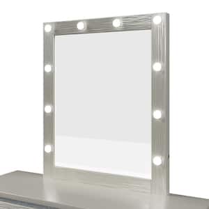 28.9 in. W x 35.2 in. H Rectangular Freestanding Bathroom Makeup Mirror in Champagne Silver with LED Lights