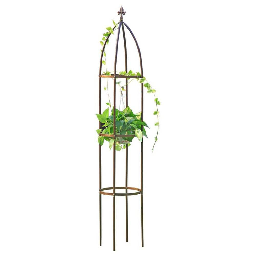 75.6 Inch Metal Obelisk Garden Trellis Sturdy Plant Support for Climbing Vines Flowers Decorative Bronze Large price history on PriceWatchPro