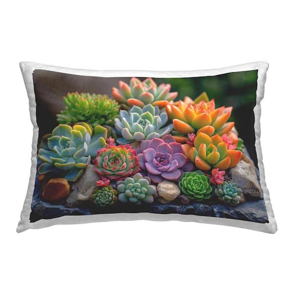 Stupell Industries Bold Succulent Botanicals Multi-Color Floral Polyester 14 in. x 20 in. Throw Pillow