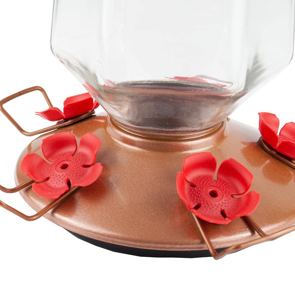 Bronze Glass Hanging Hummingbird Feeder with Red Ports