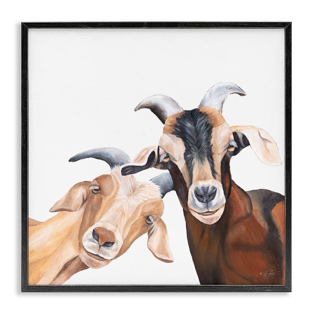 Happy Goat Smiling Animals by Diane Fifer Black Framed Giclee Art Print Animal 24 in. x 24 in. price history on PriceWatchPro