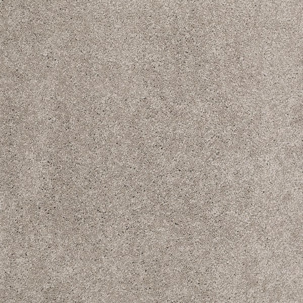 Lifeproof 8 in. x 8 in. Texture Carpet Sample - Coral Reef I - Color Warm Cider