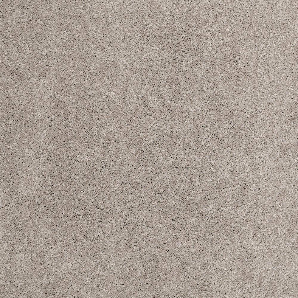 8 in. x 8 in. Texture Carpet Sample - Coral Reef II - Color Warm Cider price history on PriceWatchPro