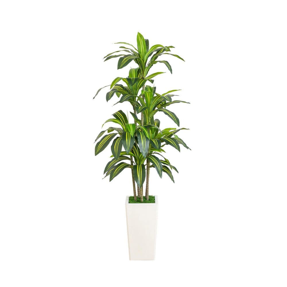 5 ft. Artificial Real Touch Dracaena Tree in Decorative Planter price history on PriceWatchPro