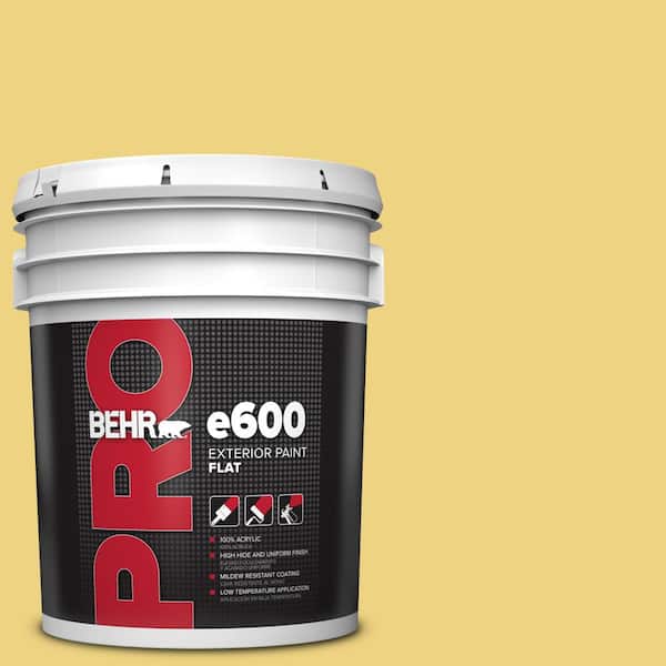 BEHR PRO 5 gal. #380D-4 Feather Gold Flat Exterior Paint