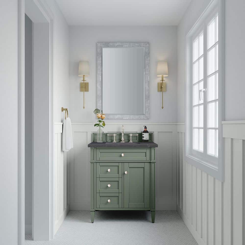 Brittany 28.9 in. W x 23.0 in. D x 32.6 in. H Single Bath Vanity Cabinet without Top in Smokey Celadon price history on PriceWatchPro