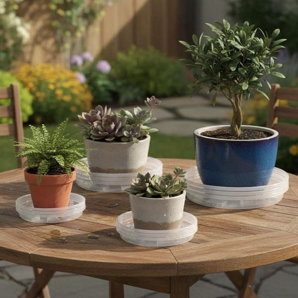 9 Pack Plastic Clear Plant Saucer YNLIN382 - The Home Depot