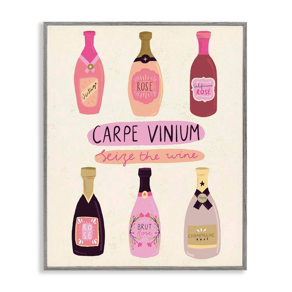 Carpe Vinium Seize the Wine by Louise Allen Designs Gray Framed Food Giclee Art Print 14 in. x 11 in. price history on PriceWatchPro