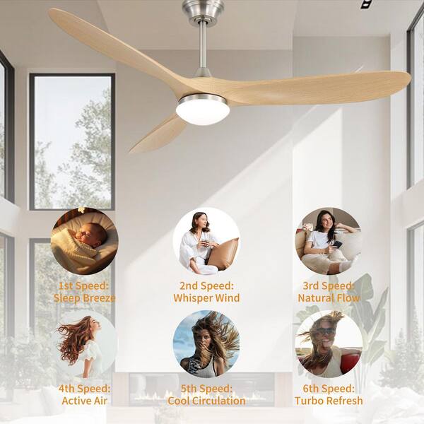 MODERN HABITAT 60 in. Indoor Downrod Mount Oak 3 ABS Blades