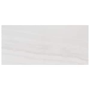 Glossy Rapids White 10 in. x 20 in. Subway Gloss Ceramic Wall Tile (1.455 sq. ft. /Each)
