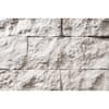 Evolve Stone National True 4 in. x 7.75 in. to 15.5 in. Non-Rated Field Stone - Winter Valley (14.25 sq. ft. Per Box) NR-NT-WV-F