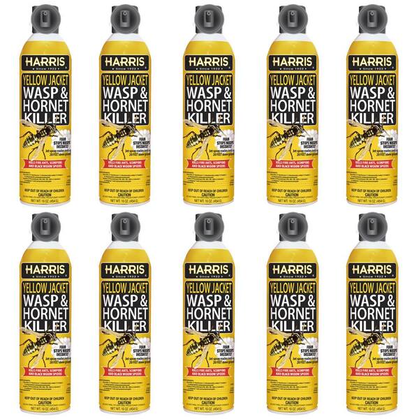 Harris 16 oz. Wasp and Yellow Jacket Killer Foam (Pack of 10)