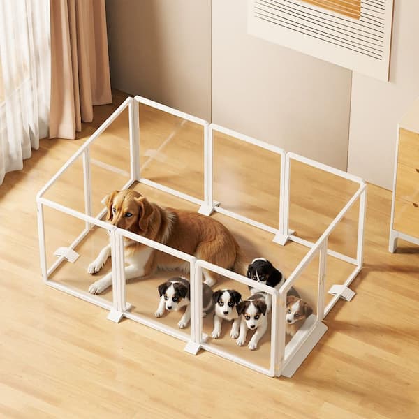 Acrylic Dog Playpen Transparent Dog Playpen Indoor Easy Assemble Clear Pet Pen for Pets (10 Panels, White)