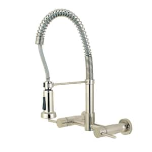 Concord 2-Handle Wall-Mount Pull-Down Sprayer Kitchen Faucet in Brushed Nickel