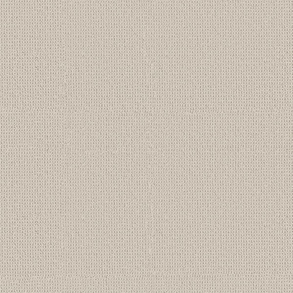 Lifeproof Bellridge Color Pebble - 37 oz. Nylon Loop Beige Installed Carpet