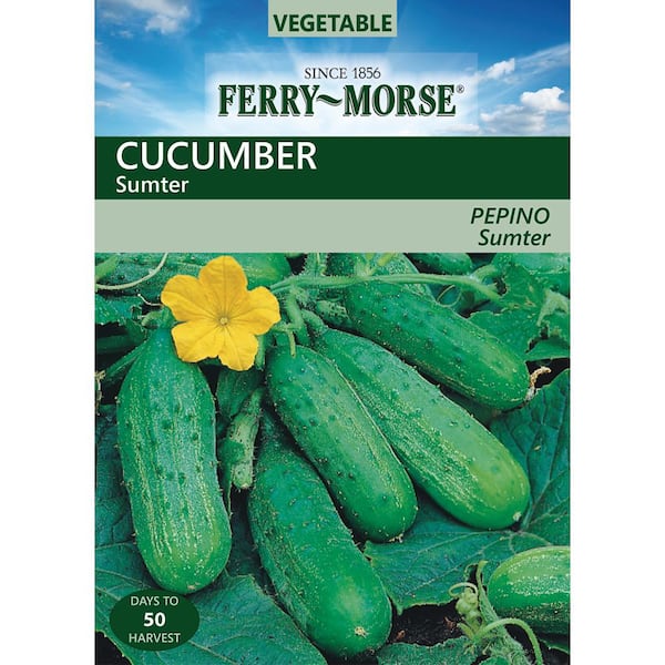 Ferry-Morse Cucumber Sumter Vegetable Seed