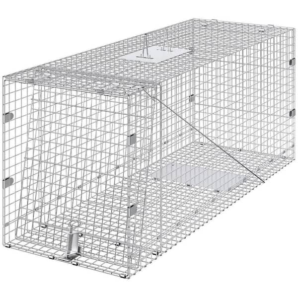 50 in. Live Animal Cage Trap, Heavy-Duty Galvanized Steel, Folding Design for Stray Dogs, Foxes, Armadillos