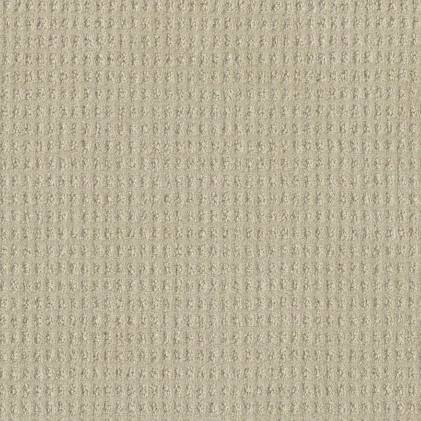 Amaryllis-Flamenco Beige-35 oz. SD Polyester Pattern Installed Carpet