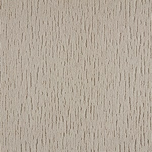 Chester  - Exquisite - Beige 40 oz. Triexta Pattern Installed Carpet