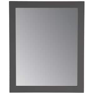 Thornbriar 26 in. W x 31 in. H Single Framed Wall Mirror in Cement