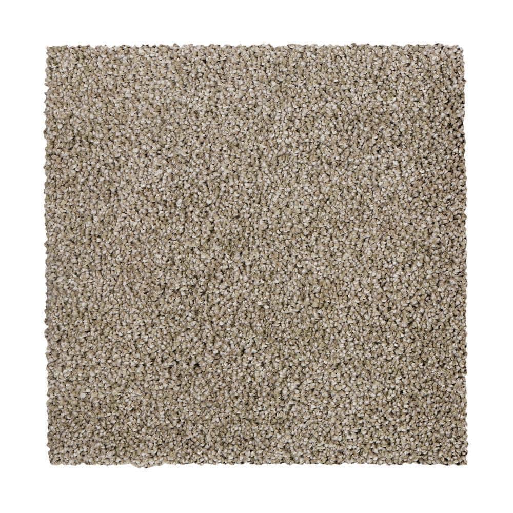 8 in. x 8 in. Texture Carpet Sample - Gazelle II -Color Cottage Craft price history on PriceWatchPro