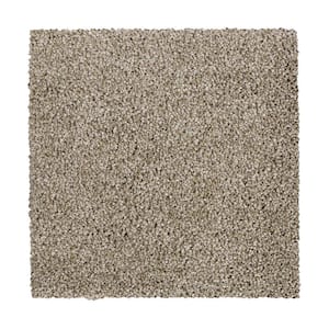 Lifeproof with Petproof Technology 8 in. x 8 in. Texture Carpet Sample ...