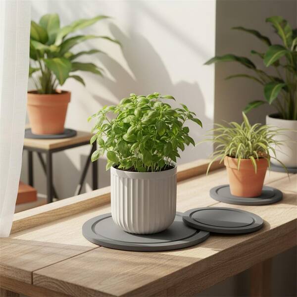 plant pot medium Snake Plant + Pot (Gift Bundle)