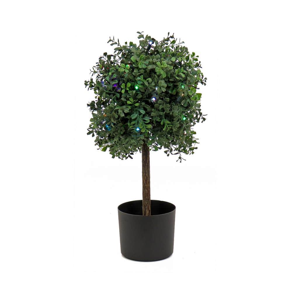 National Tree Company 24 in. Artificial Boxwood Single Ball Topiary with Multi-Function LED Lights, Green