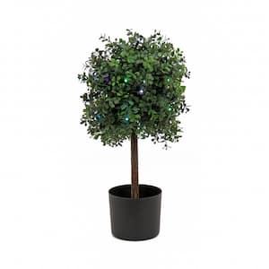 24 in. Artificial Boxwood Single Ball Topiary with Multi-Function LED Lights, Green