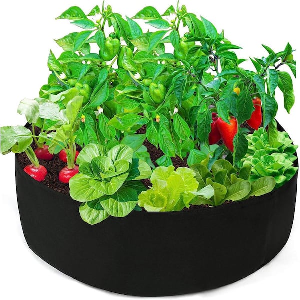 Agfabric 35.5 in. Dia x 11.8 in. H 50 Gal.Black Mount Planter Plant Large Diameter Round Grow Bag Planter Fabric (1-Pack)