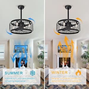 20.24 in. Indoor Black Caged Ceiling Fan with Remote Control, Bulb not included