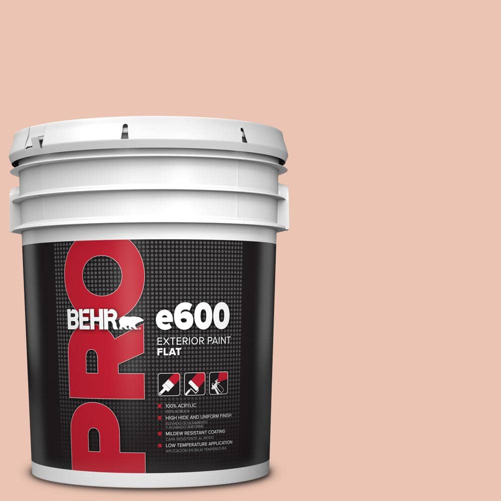 BEHR PRO 5 gal. HDCCT14 Coral Coast Flat Exterior Paint BEHR PRO 5 gal. HDCCT14 Coral Coast Flat Exterior Paint