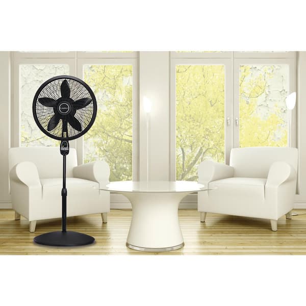 Adjustable-Height 16 in. 3 Speed Black Oscillating 2521 - The Home