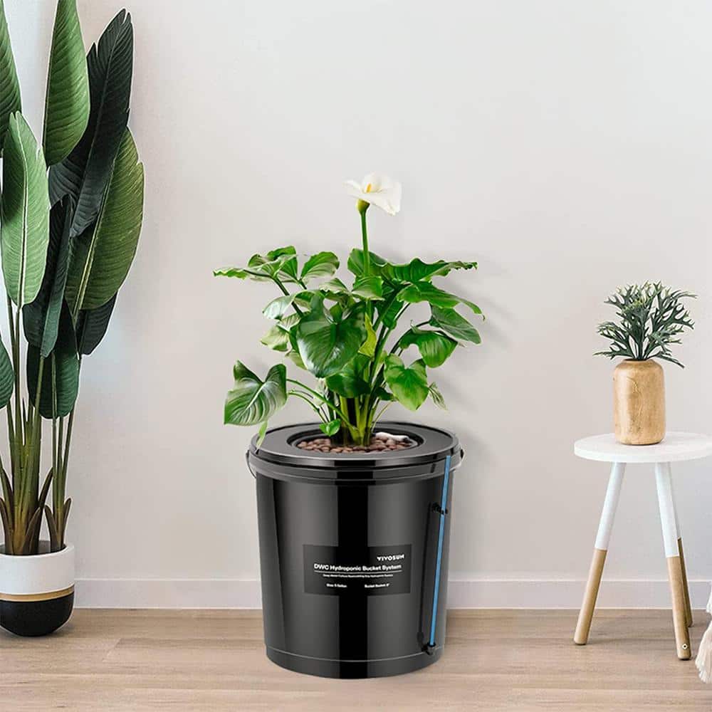 Black 5-Gallon Deep Water Culture Hydroponic System with Air Pump