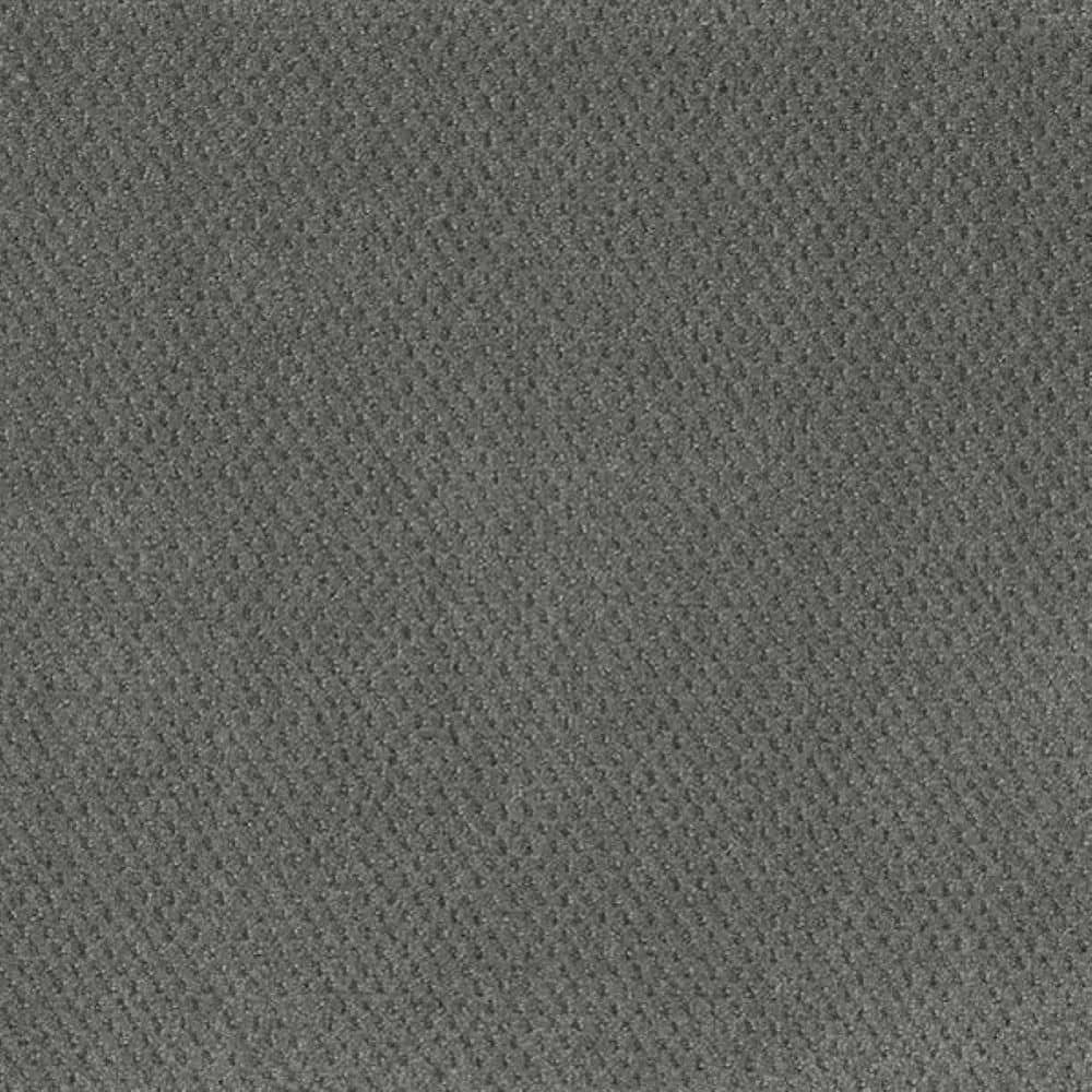 8 in. x 8 in. Pattern Carpet Sample-Fretboard-Color Jazzy price history on PriceWatchPro