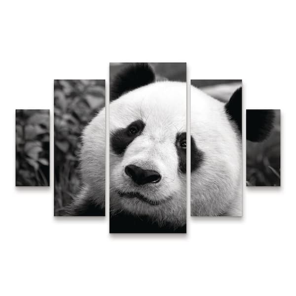 Trademark Fine Art SD Smart Giant Panda 5-Piece Panel Set Unframed Photography Wall Art 40 in. x 58 in.