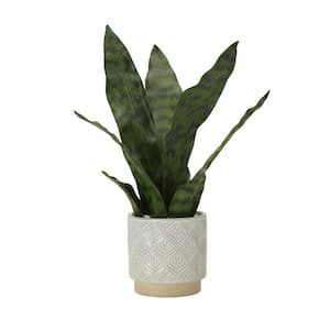 15 in. Snake Plant Artificial Plastic Greenery Plant