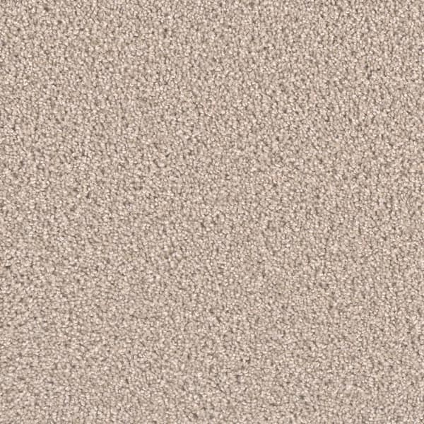 Delicate Flower  - Spotless - Beige 40 oz. SD Polyester Texture Installed Carpet