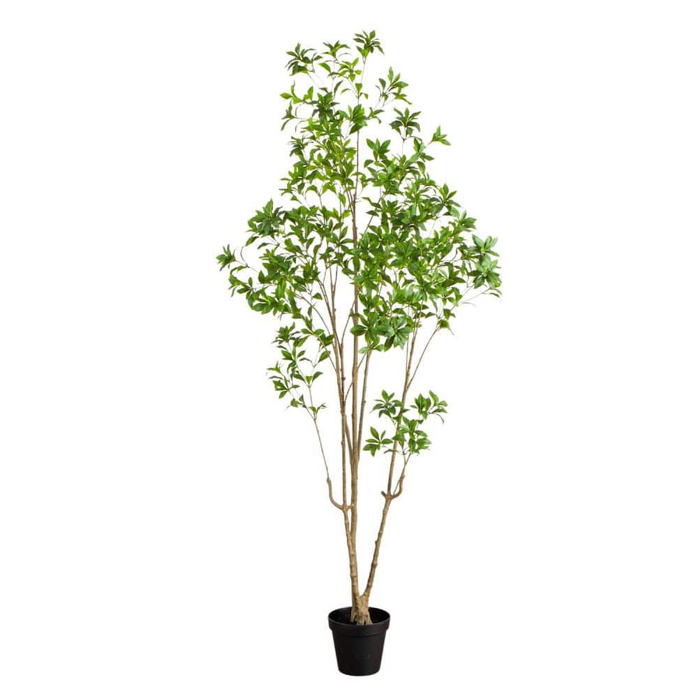 8ft. Artificial Minimalist Japanese Pieris Tree price history on PriceWatchPro