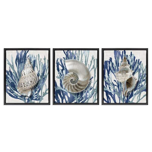 Trio of Shells and Coral by Caroline Kelly 3-Piece Black Floater Frame Graphic Art Print Coastal 31 in. x 25 in.