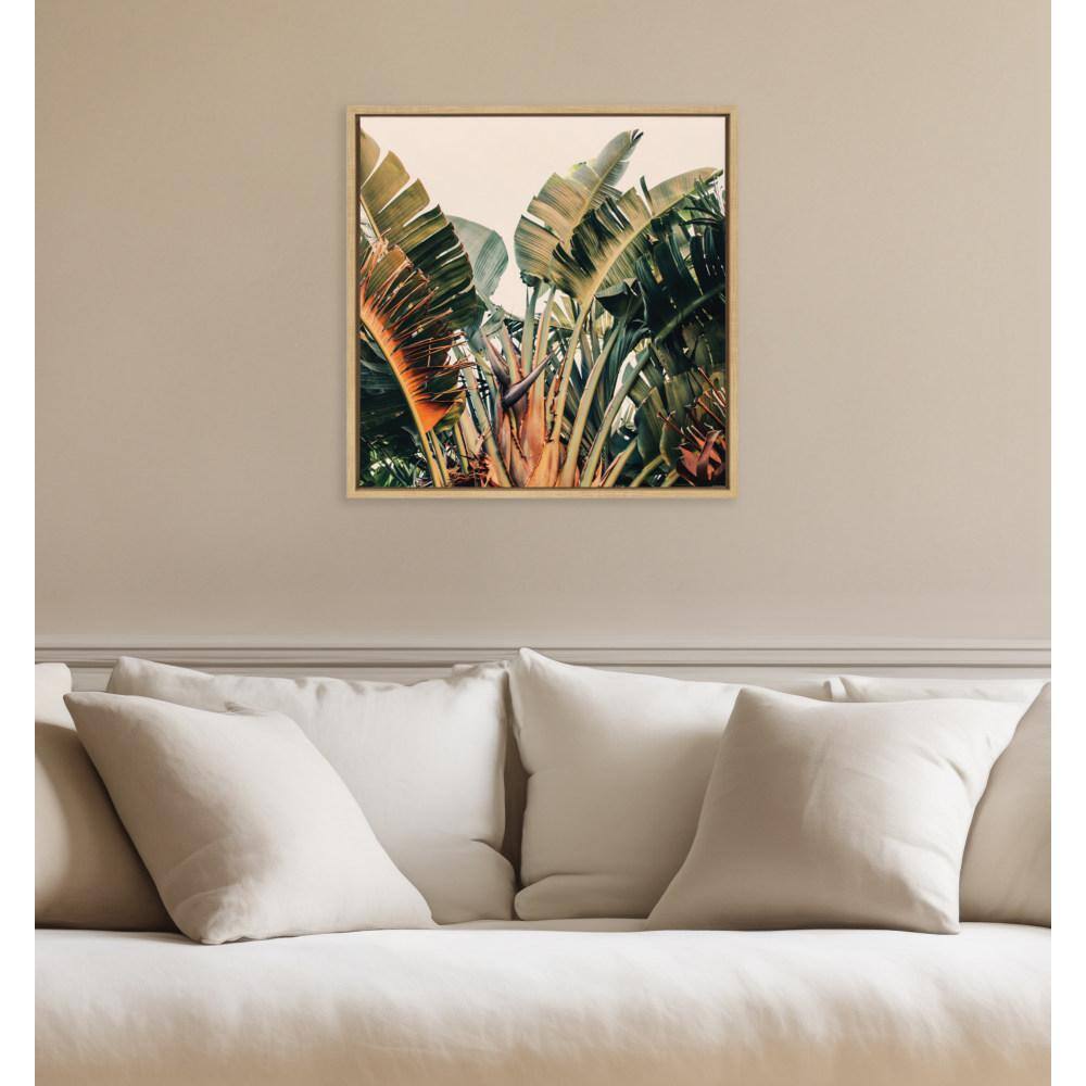 Natural Framed Tropical Botanical Canvas Print, 22x22